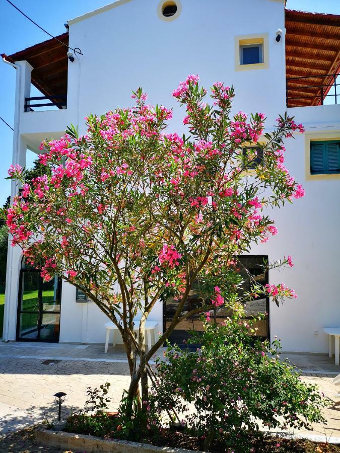 Nikoli Apartments Benitses  Bagian luar foto